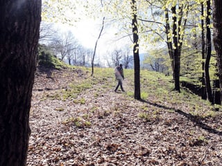 Eine junge Frau spaziert im Gegenlicht durch einen Wald.