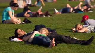 Auf einer Wiese liegt ein Pärchen an der Sonne.