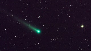Der Komet Ison mit seinem Schweif