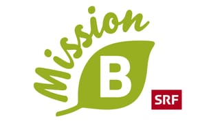 «Mission B»–Logo