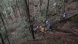 Die abgestürzte Transportkiste wird im steilen Waldgebiet geborgen. 