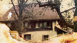 Das Messie-Haus