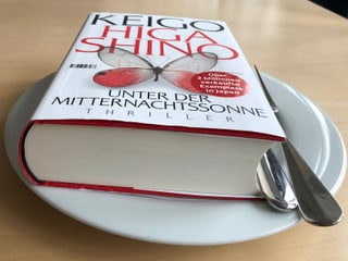 Das Buch «Unter der Mitternachtssonne» liegt auf einem weissen Teller. Messer und Gabel daneben. Das Buch «Unter der Mitternachtssonne» liegt auf einem weissen Teller. Messer und Gabel daneben.