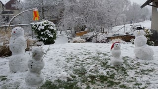 Vier Schneemänner und zwei Katzen aus Schnee.