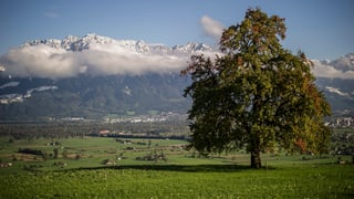 Das Rheintal