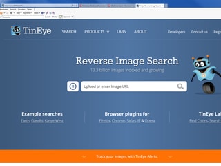 Screenshot www.tineye.com.