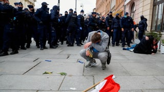 Polizisten, Demonstrant