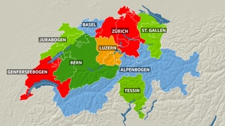 Eine Schweiz mit 9 Kantonen?
