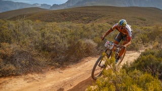 Ein Mountainbiker in einer Landschaft mit vielen Sträuchern.
