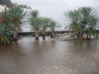 Der Luganersee tritt über das Ufer, Palmen stehen im Wasser.