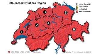Influenzaaktivität. Influenzaaktivität.