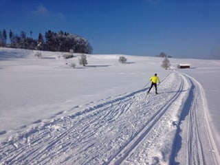 Langläufer auf der Loipe