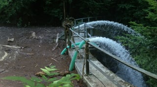 Ein verstopfter Weiher wird mit drei Pumpen ausgepumpt.