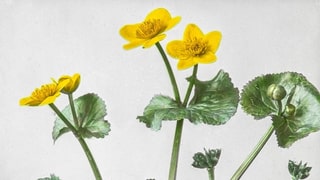 Ausstellungshinweis