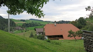 Bauernhaus und Hügel in Oberscherli