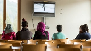 Mehrere Frauen und Mädchen schauen mit dem Rücken zur Kamera auf einen Bildschirn. 