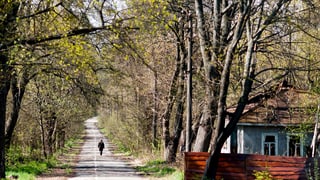 Eine von Bäumen gesäumte Strasse, am Rand ein altes Haus, auf der Strasse geht eine Person.