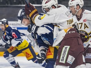 Justin Abdelkader und Henrik Tömmernes Justin Abdelkader und Henrik Tömmernes