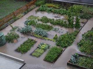 Ein überschwemmter Garten.