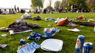 Mit Littering-Abfall übersäte Wiese in Zürich. Mit Littering-Abfall übersäte Wiese in Zürich.