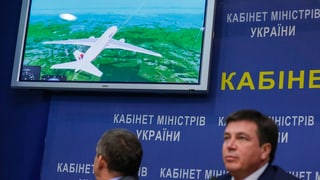 Zwei Männer sitzen vor einem Bildschirm, auf dem ein Flugzeugflug simuliert wird. 