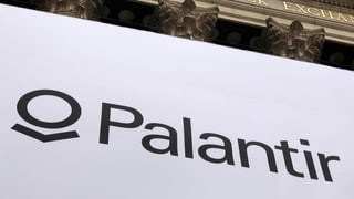 Palantir ist eine private US-Firma, die Software für Geheimdienste bereitstellt. Und die Daten selber sammelt.