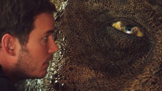 Schauspieler Chris Pratt zu sehen von der Seite, er schaut in ein riesiges Dinosaurer-Auge.