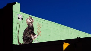 Schwarze Ratte mit Hut auf eine grüne Wand gesprayt.