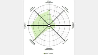 Smartspider-Grafik der Grünen Partei