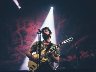 Foals