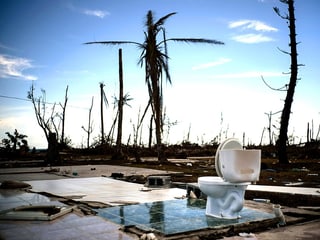 Eine einsame Kloschlüssel in der Dämmerung auf den Bahamas. Im Hintergrund ein paar kahle Bäume und noch mehr Schutt, nach dem Hurrikan «Dorian».