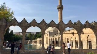 Moschee mit Teich. Moschee mit Teich.