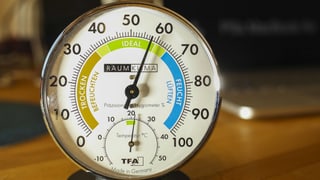 Ein Hygrometer steht auf einem Tisch.