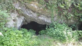 Vom nördlichen Portal des Tunnels ist in Reigoldswil nicht mehr viel zu sehen.