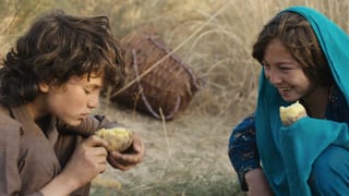 Ein Still aus dem Film «Wolf and Sheep».