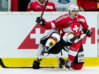 Fabrice Herzog
