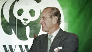 Prinz Harry grinst in grauem Anzug und mit grüner Krawatte vor einem WFF-Banner.