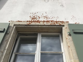 Schäbige Fassade oberhalb eines Fensters