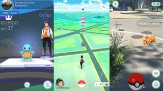 Die Arena, die Karte und Einfangen per Pokéball.