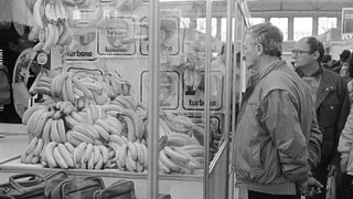 Zwei Männer betrachten einen Berg Bananan. Zwei Männer betrachten einen Berg Bananan.