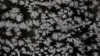 Schneekristalle
