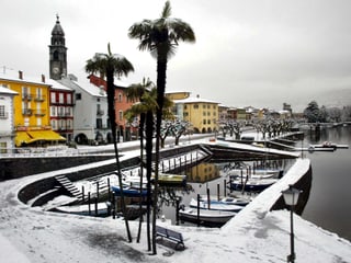 Die Uferpromenade in Ascona mit dem kleinen Hafen und den Palmen sind mit Schnee bedeckt.
