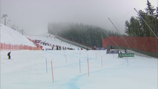 Die Slalomstrecke mit roten und blauen Pfosten bei etwas bedecktem Wetter.