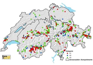 Wolfsverbreitung in der Schweiz