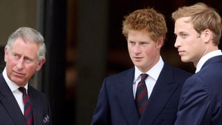 Gruppenfoto Prinz Charles, Prinz Harry und Prinz William.