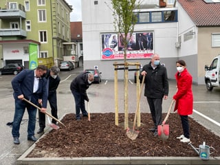Politiker pflanzen Baum Politiker pflanzen Baum
