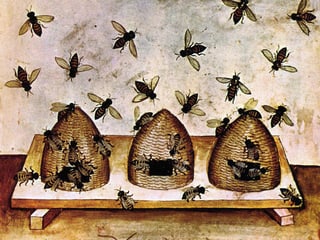 Darstellung mittelalterlicher Bienenkörbe im «Taccuino Sanitatis» Darstellung mittelalterlicher Bienenkörbe im «Taccuino Sanitatis»