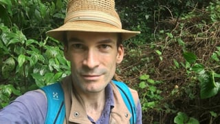 ein Mann im Wald ein Mann im Wald