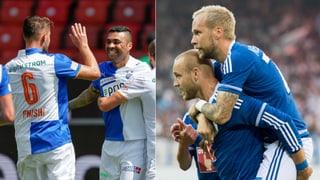 Jubelnde GC- und Luzernspieler.