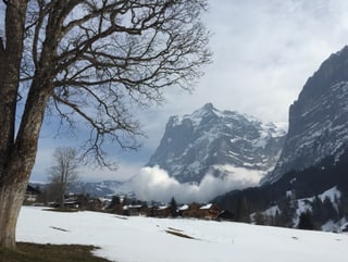Die Lawine von einger Entfernung aus aufgenommen.